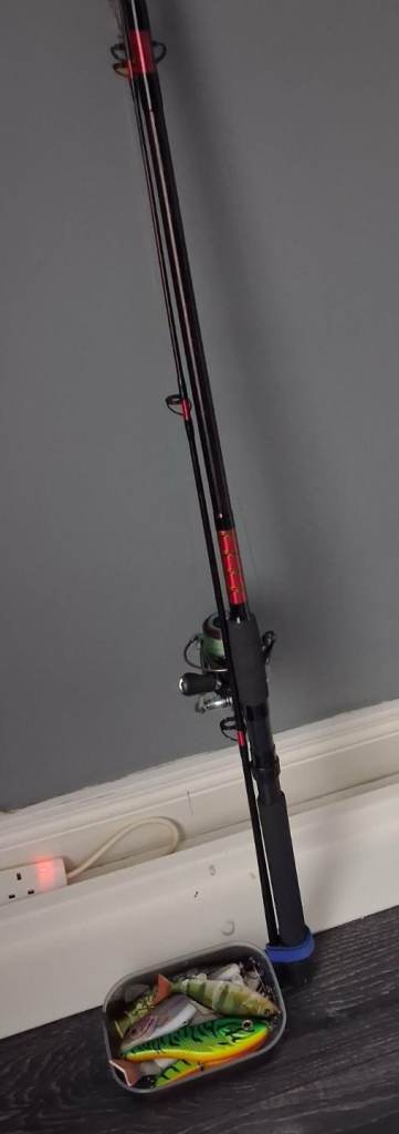 Fishing rod 