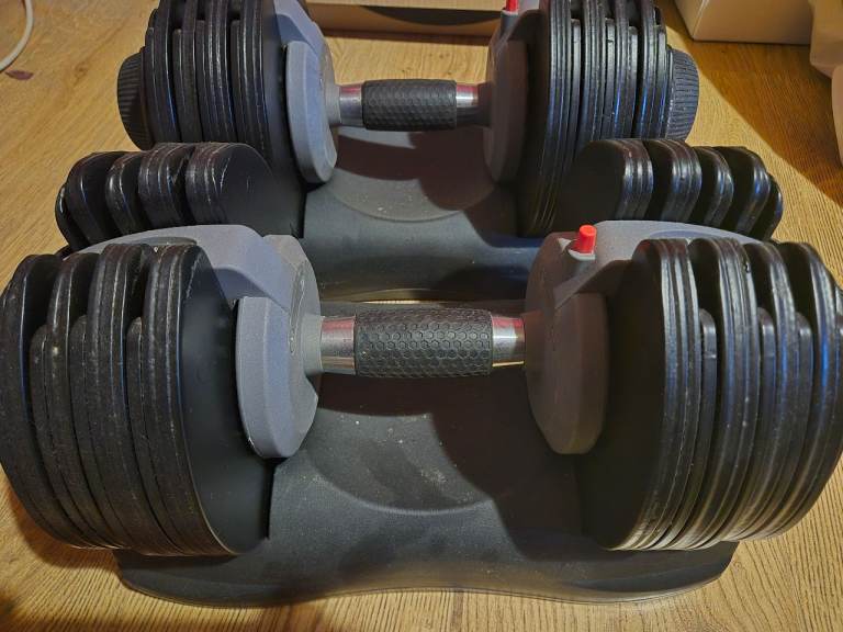 32.5kg Adjustable dumbells Everlast 