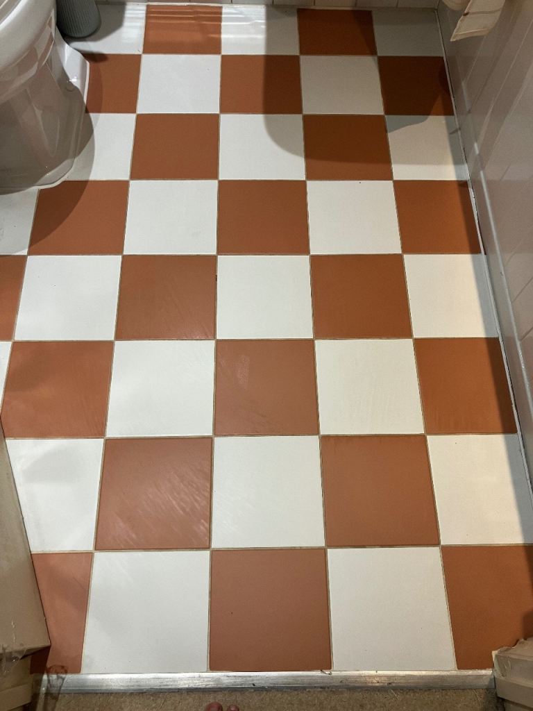 Stunning terracotta & white floor tiles