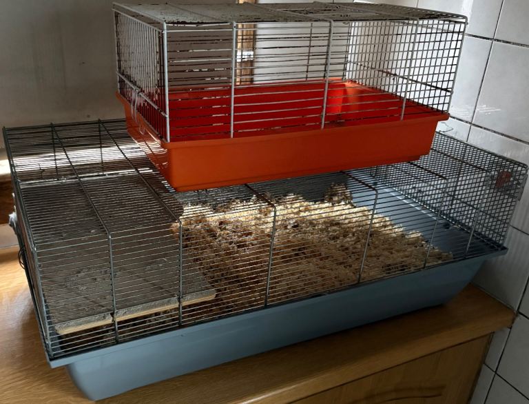 2 hamster cages. 