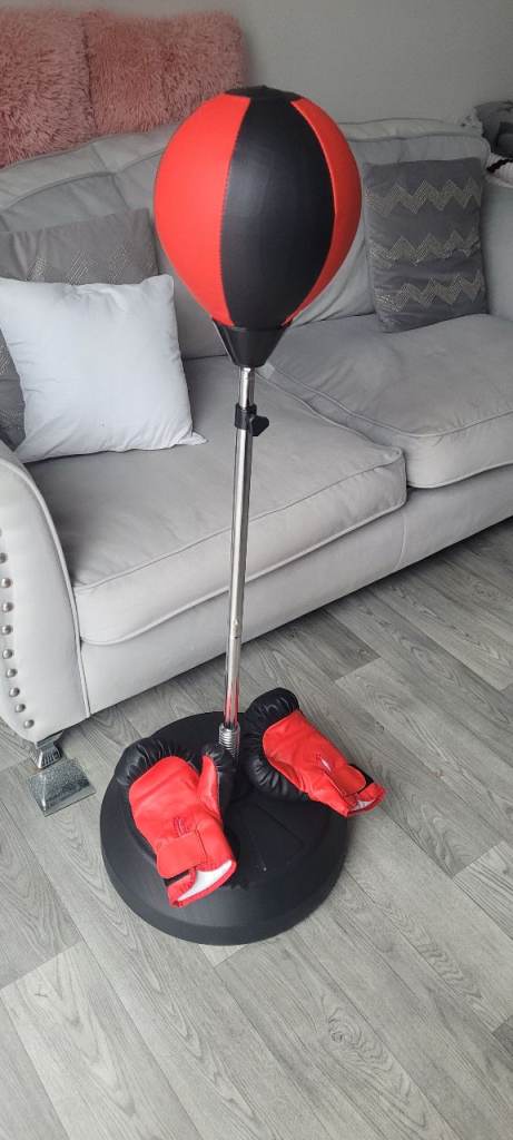 Punchbag and gloves