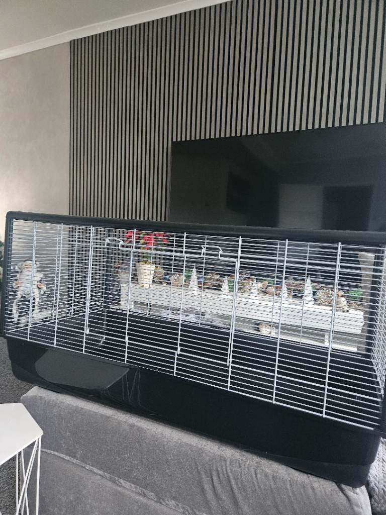 Hamster cage 