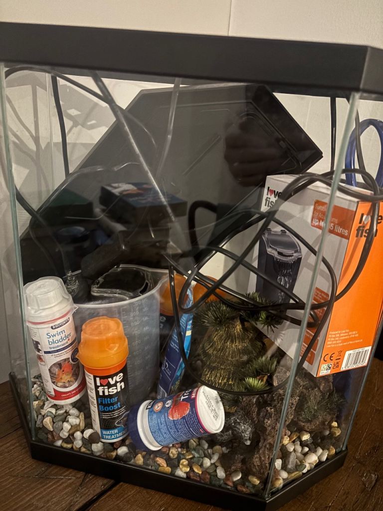 Tropical fish aquarium 