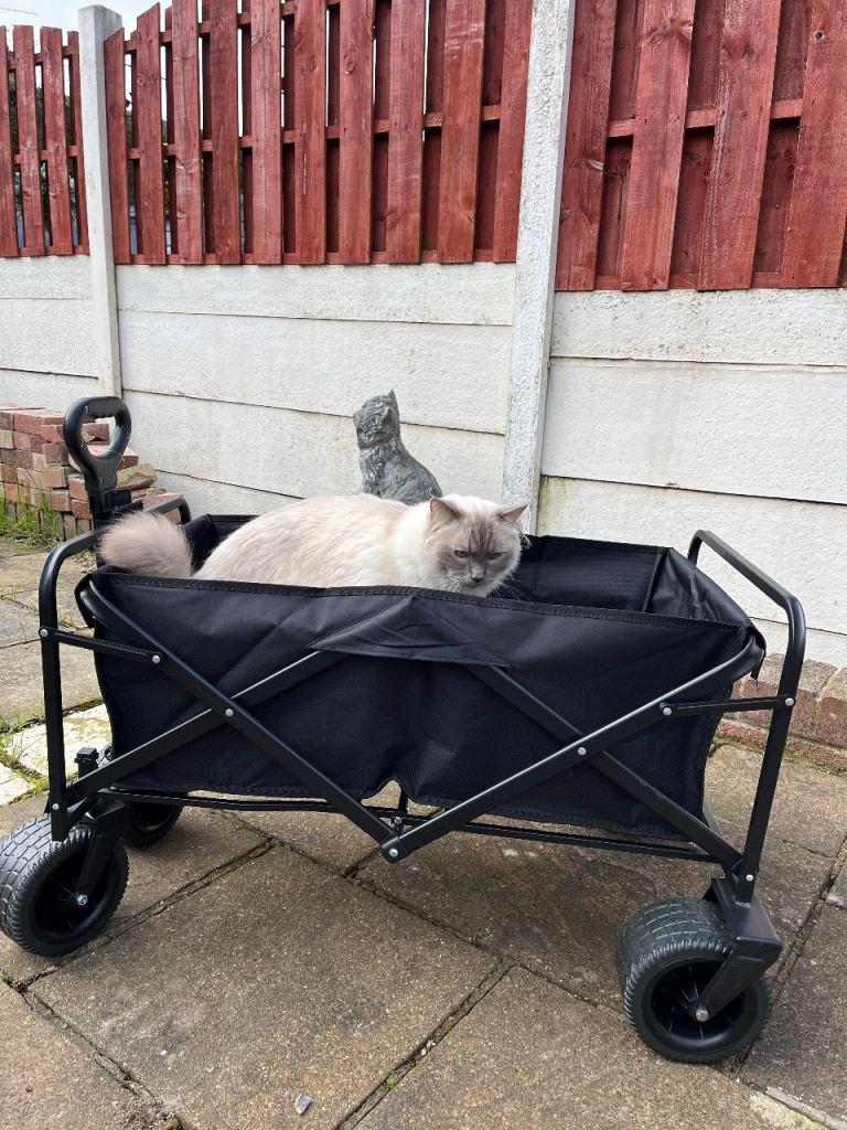 Luxury Heavy Duty Large Foldable Cart Trolley Wagon Festival Beach Carboot Camping Pets