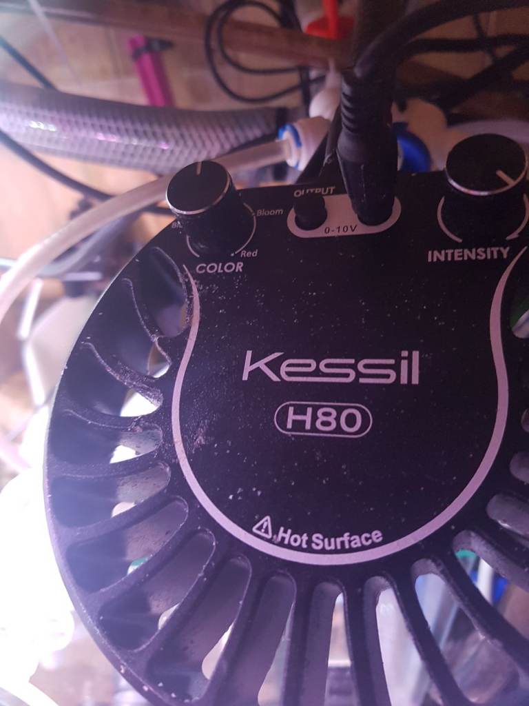 Kessil H80 LED Light for Aquariums/Grow Setups
