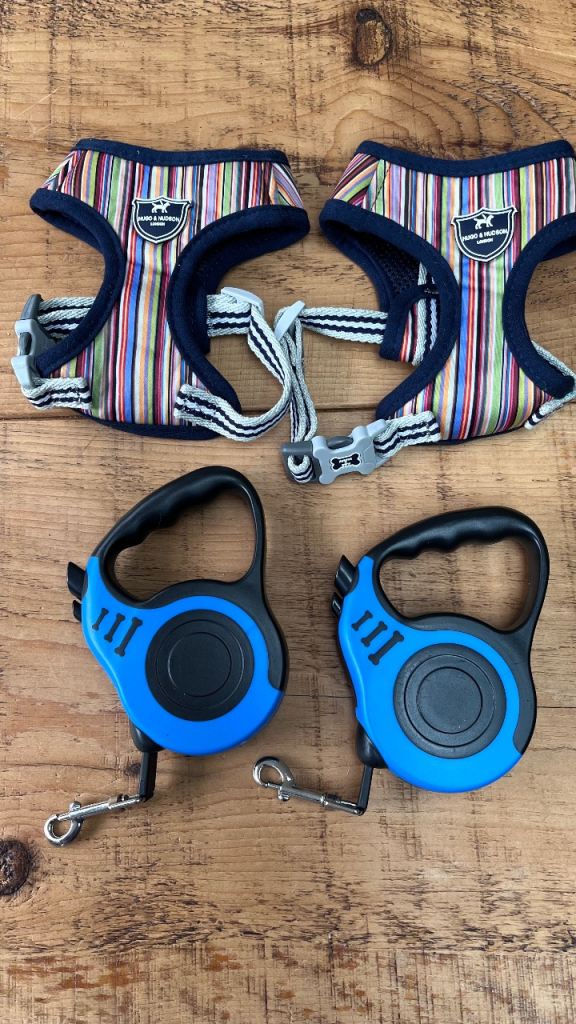 2 x cat harnesses & 2 cat leads 