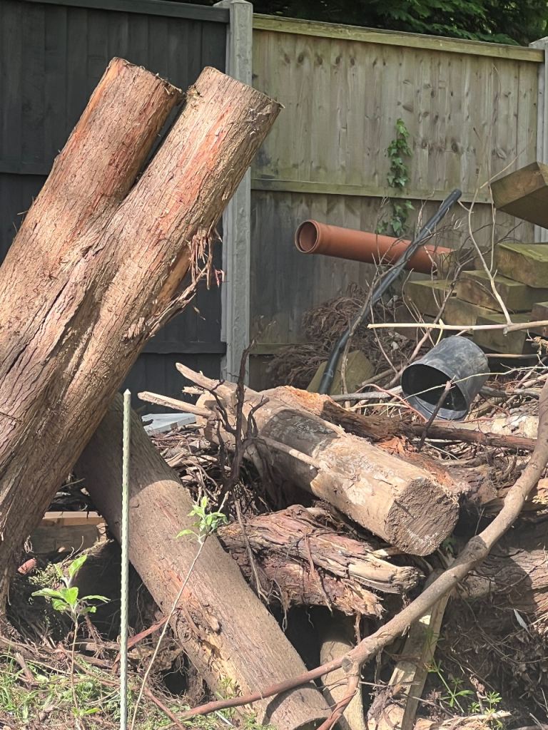 Wood Tree Trunks Chippings Fire Stove Logs