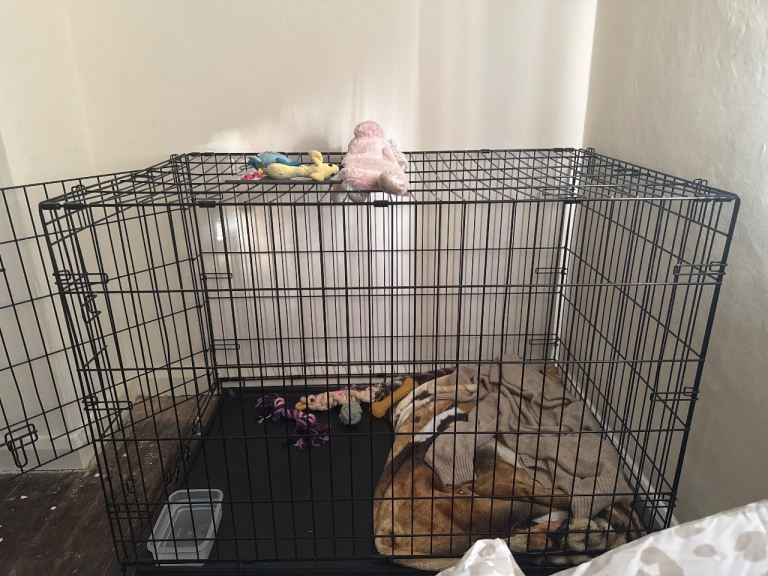 Dog crate
