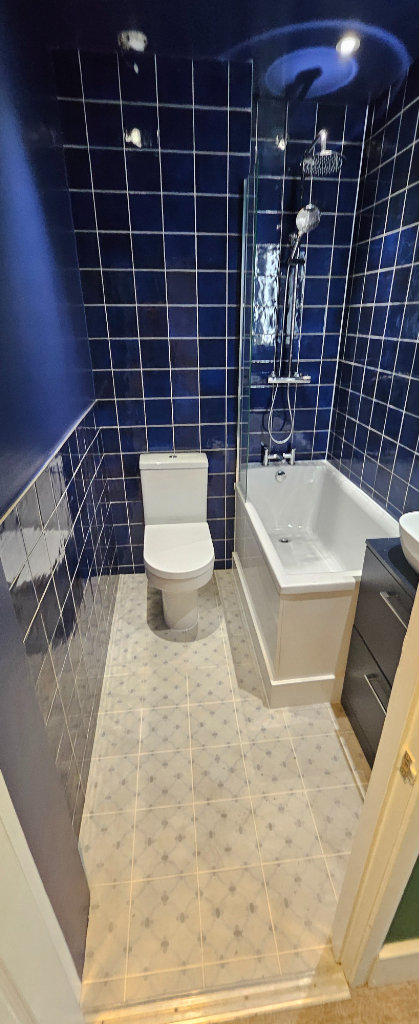 Plumber and handyman