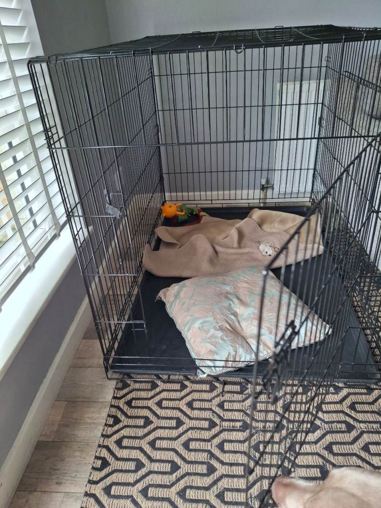 XL dog crate