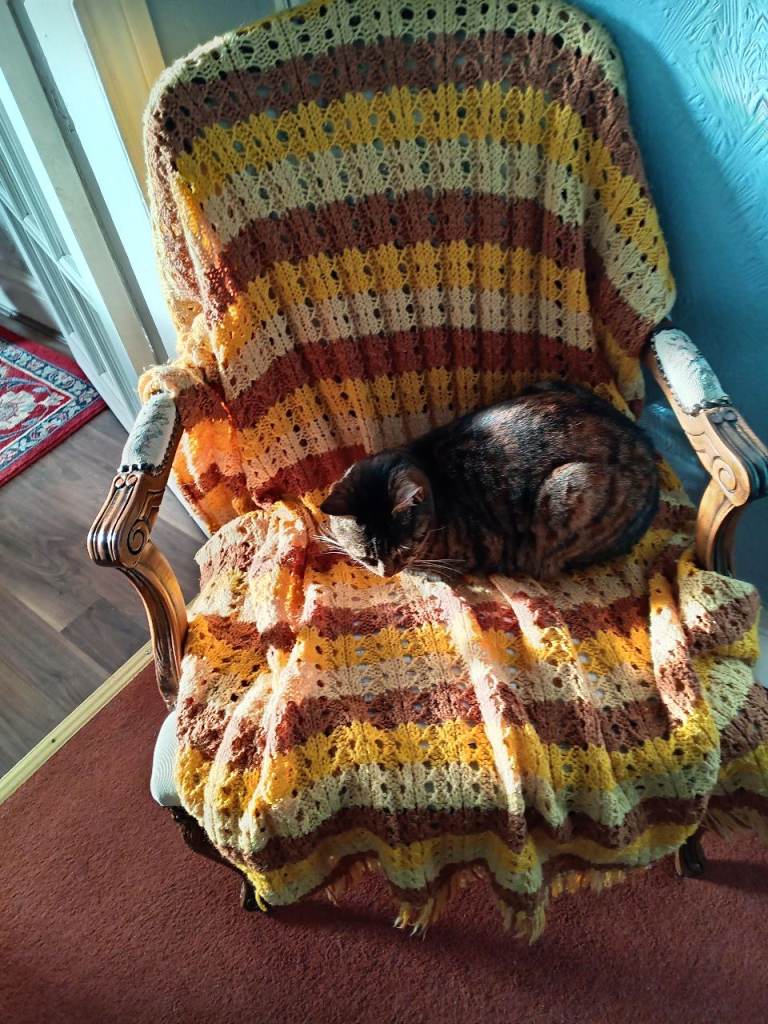 Two cats need new home