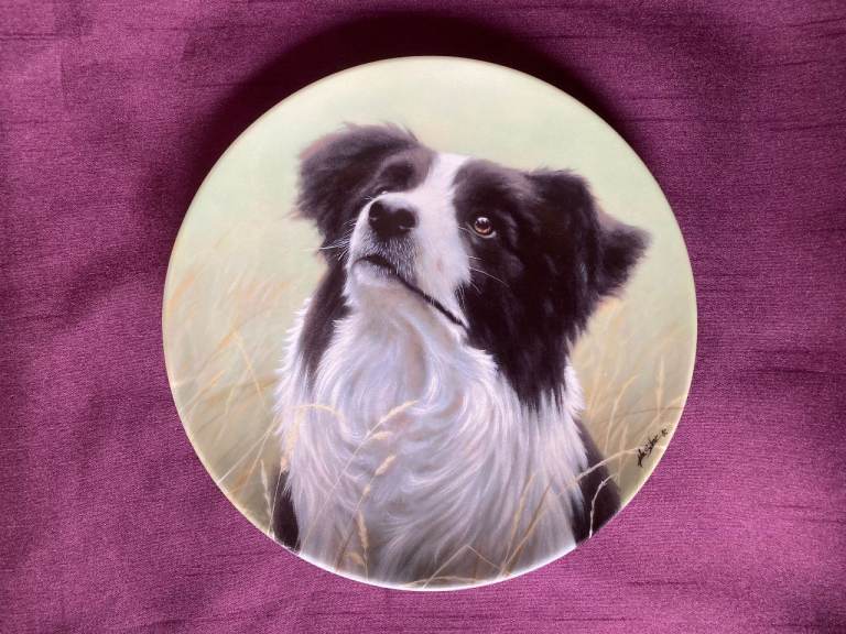‘The Border Collie’ - Royal Worcester Collector Plate