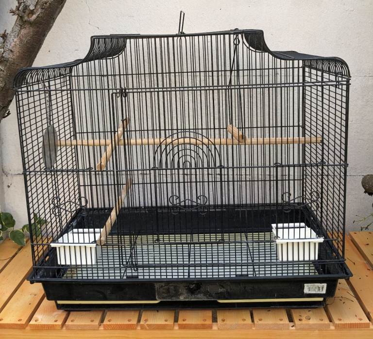 Large bird cage plus extras 