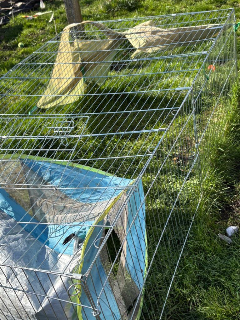 Chicken / Rabbit Enclosure