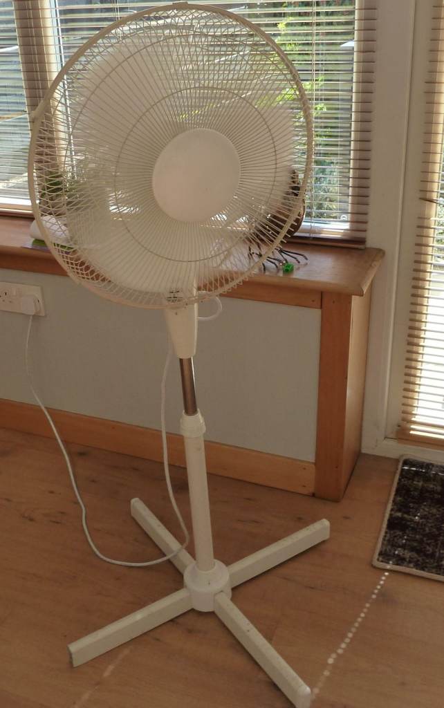 Pedestal Fan 3 Speed. Oscillating. Height adjustable. ( NO TEXTS PLEASE )