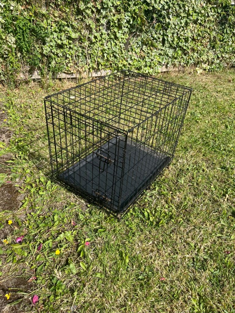 Dog crate 