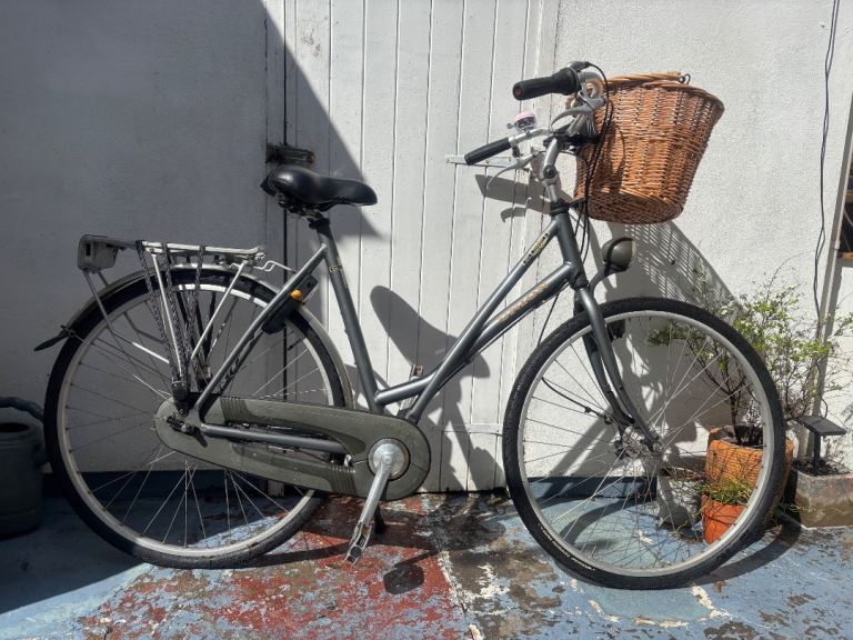 Union Flamingo traditional Dutch city bike