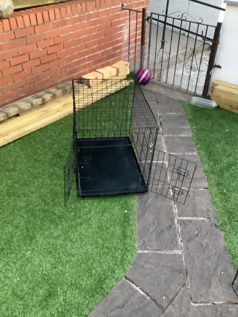 Dog cage 