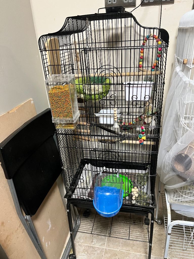 Large parrot cage 