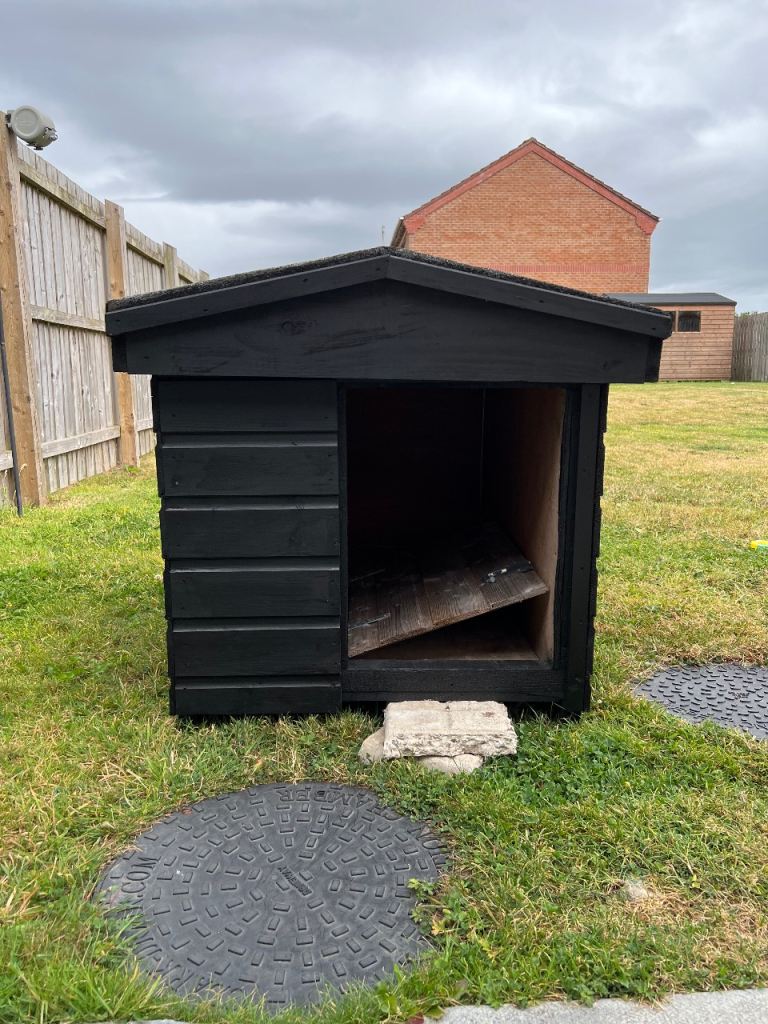 Dog house