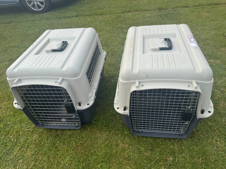 Flight pet carriers 