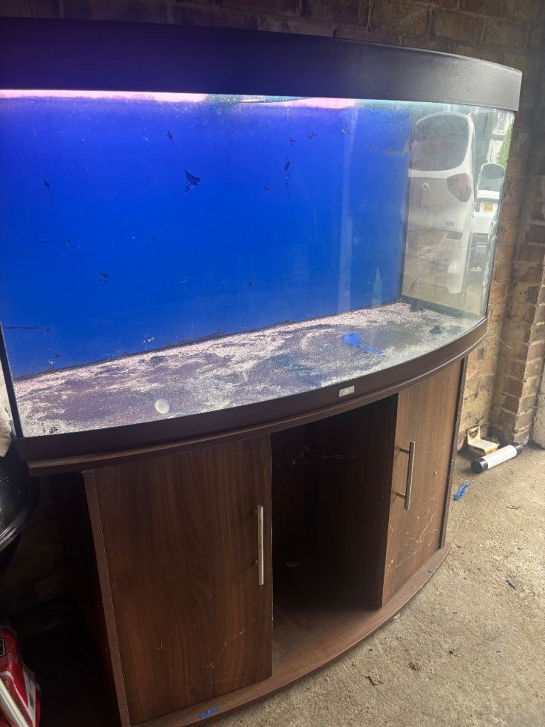 Fish tank bow front