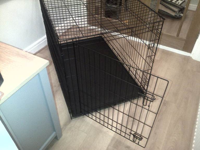 dog crate