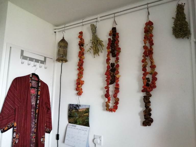 Beautiful whole flat, next to forest, is available for rent in Abbey Wood, Borough of Greenwich