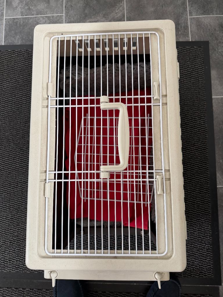 small animal carry crate