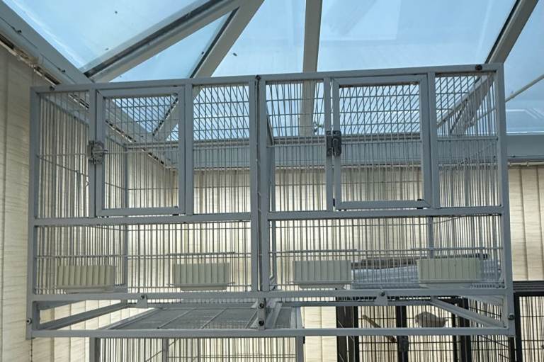 Bird breeding cages