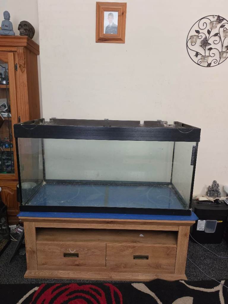 Large fish tank and cabinet