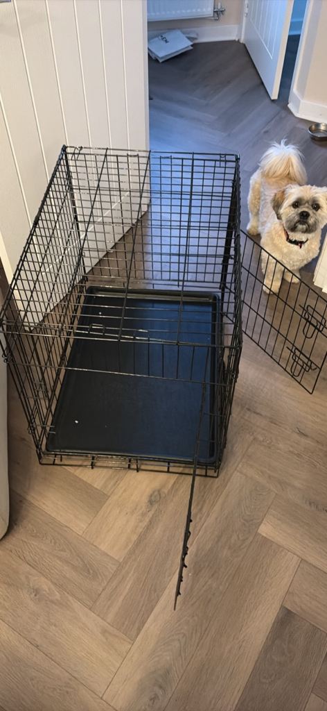 Medium Dog Crate with Side Door and Floor Mat