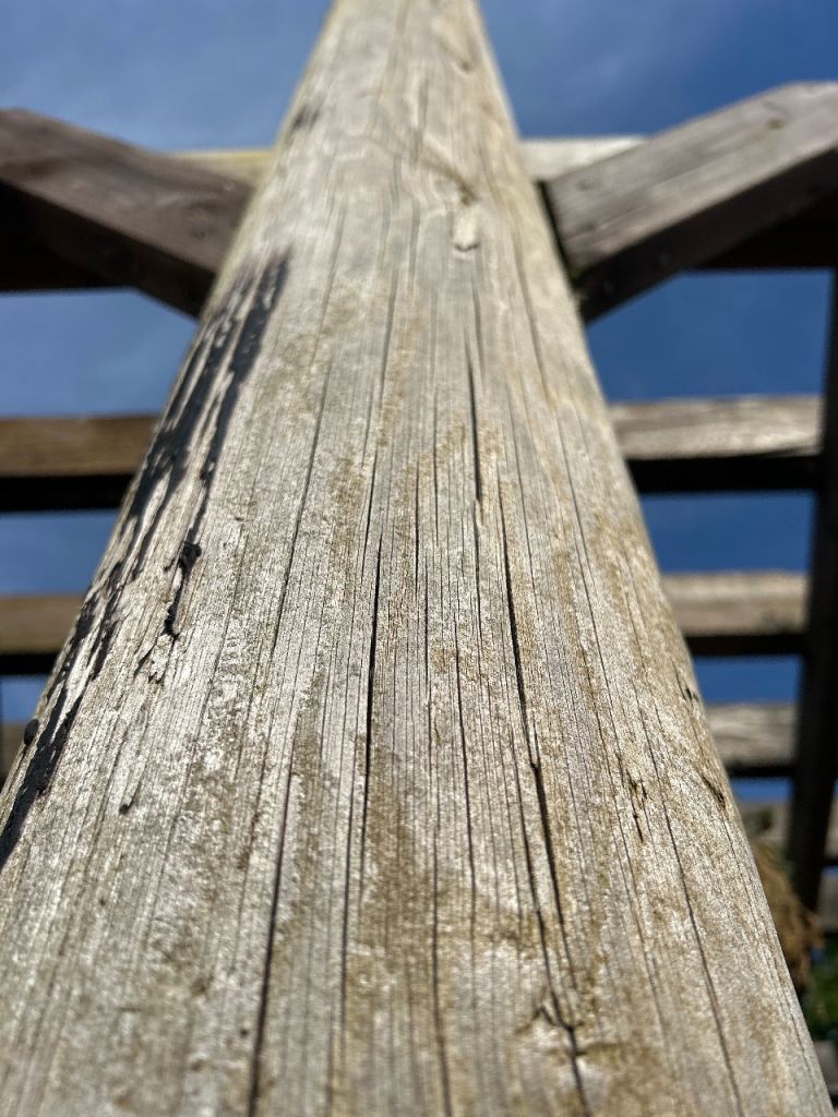 Telegraph pole wanted