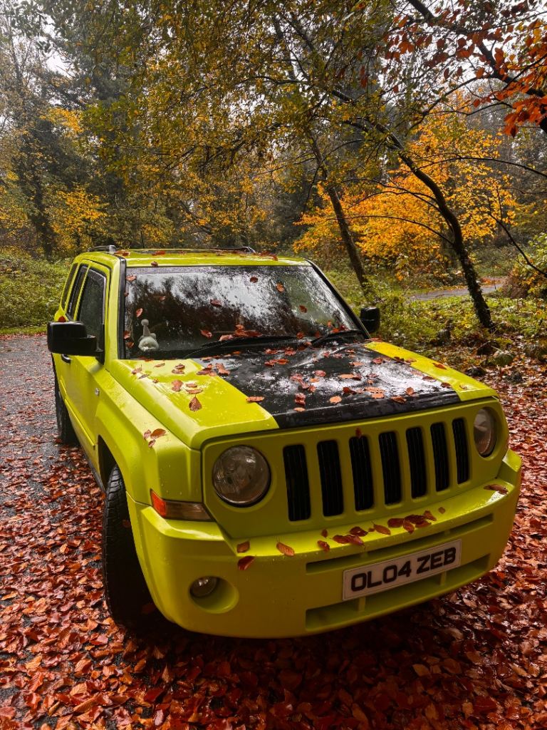 Jeep, PATRIOT, Estate, 2008, Manual, 1968 (cc), 5 doors