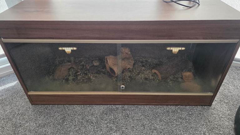 Reptile Vivarium plus extras 