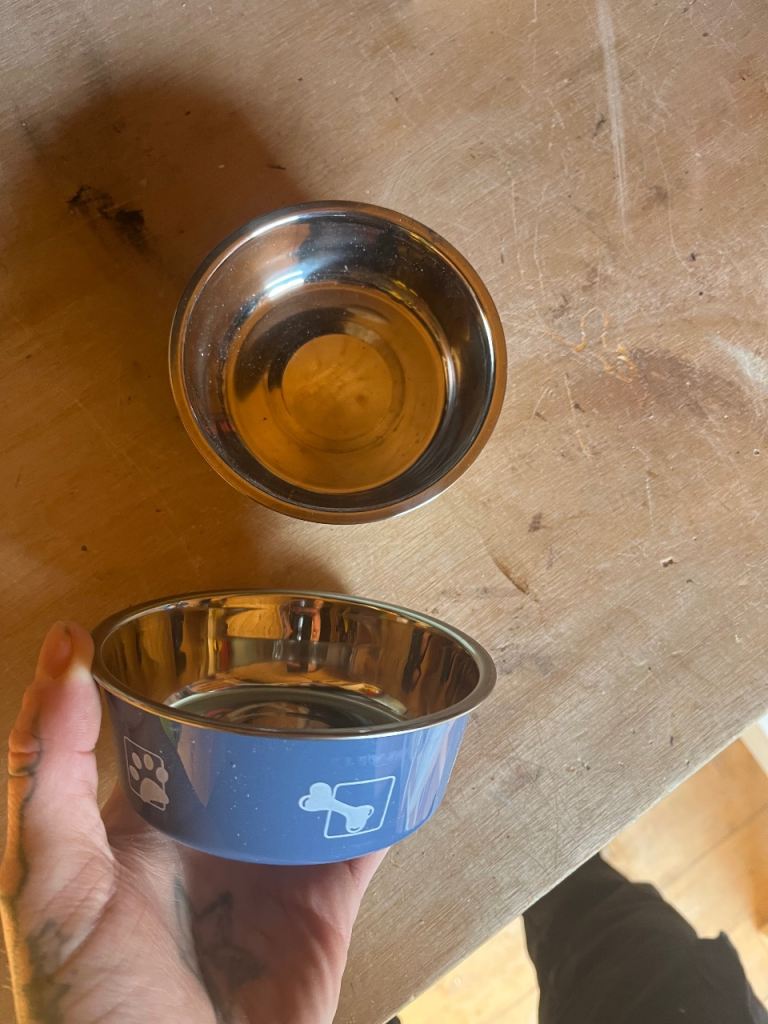Dog bowls 