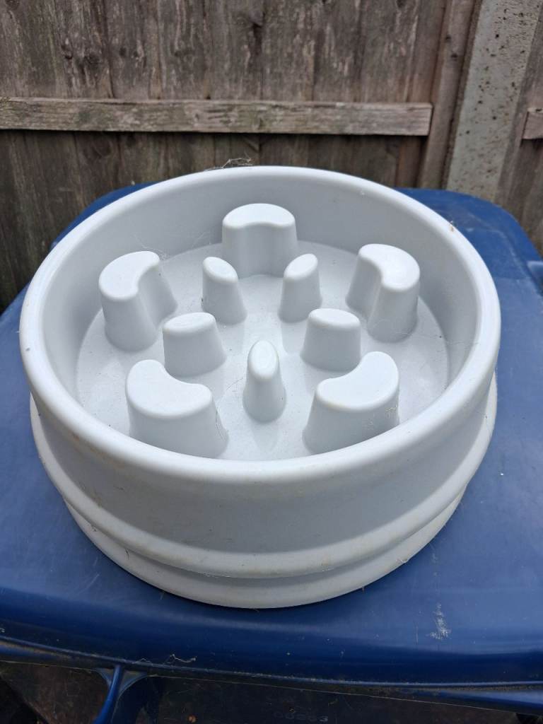 Dog Slow Feeding Bowls