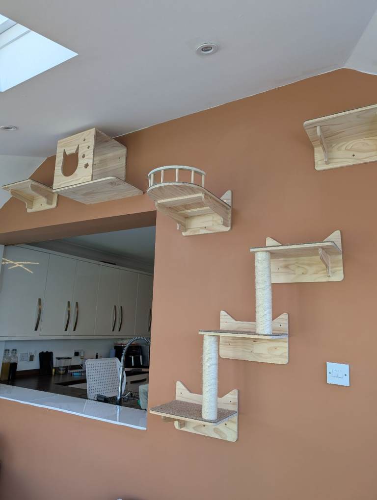 Cat wall mounted structure 