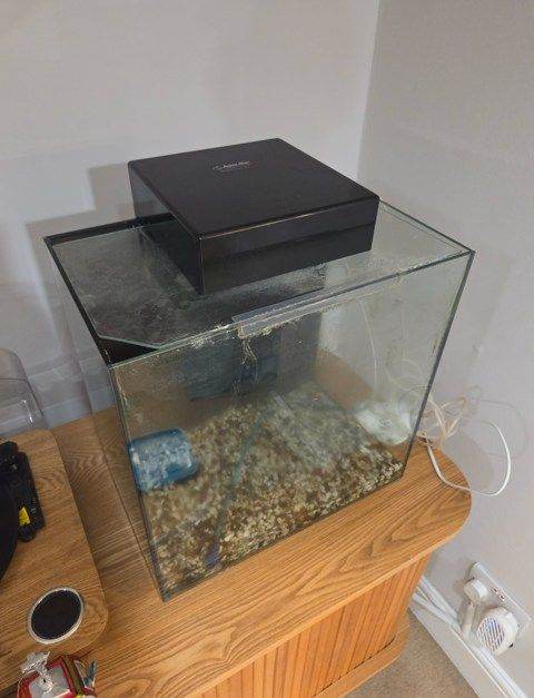 image for Aquarium with full kit ready to use