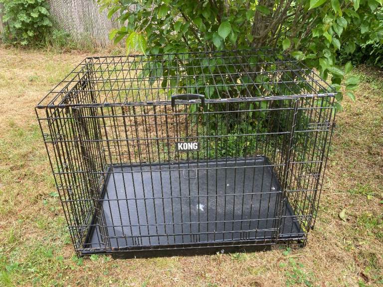 Kong Dog Crate / Cage. 42 inch by 28 inch by 31 inch. Plastic bottom. Divider for 2 dogs.
