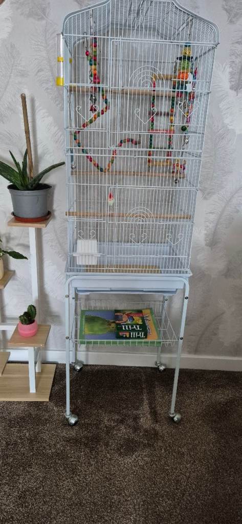 Bird cage