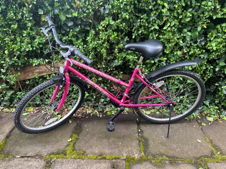 Teenager bicycle 