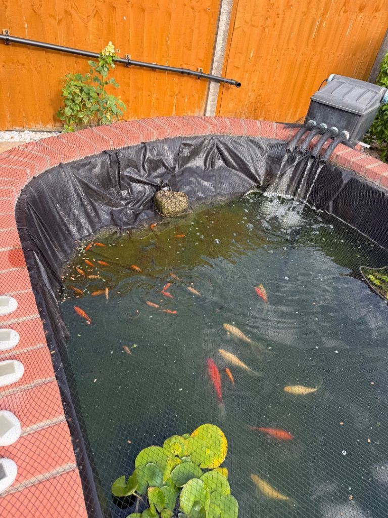 Pond filter and pump