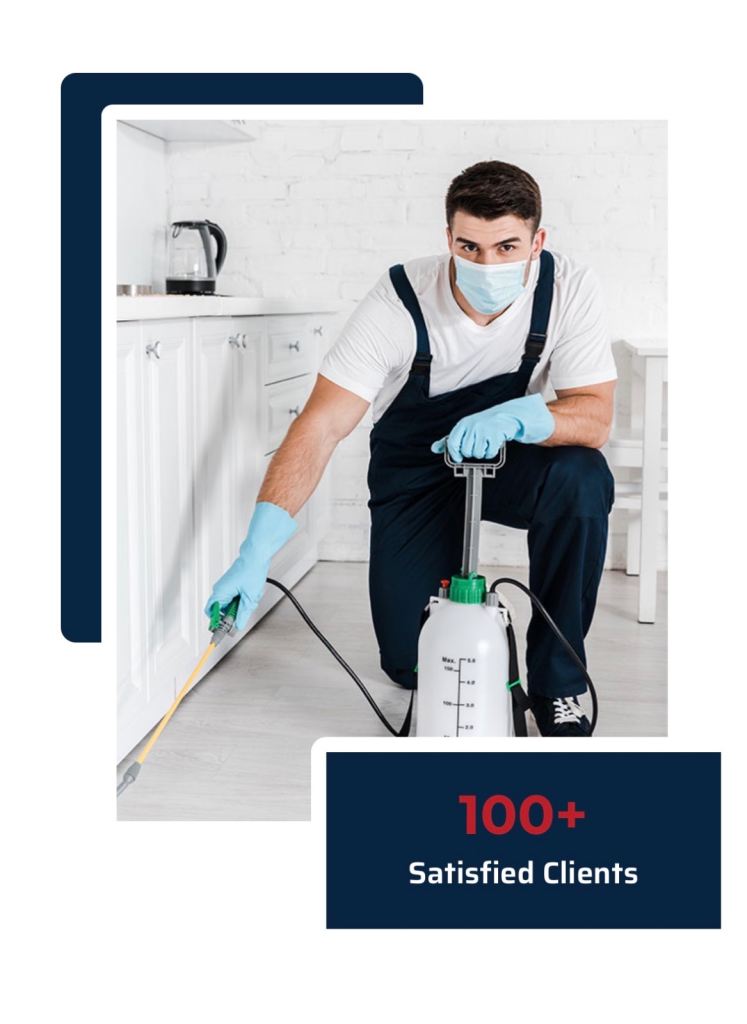 Pest control services for all london rat mice cockroaches bedbugs fleas or any pest issues 