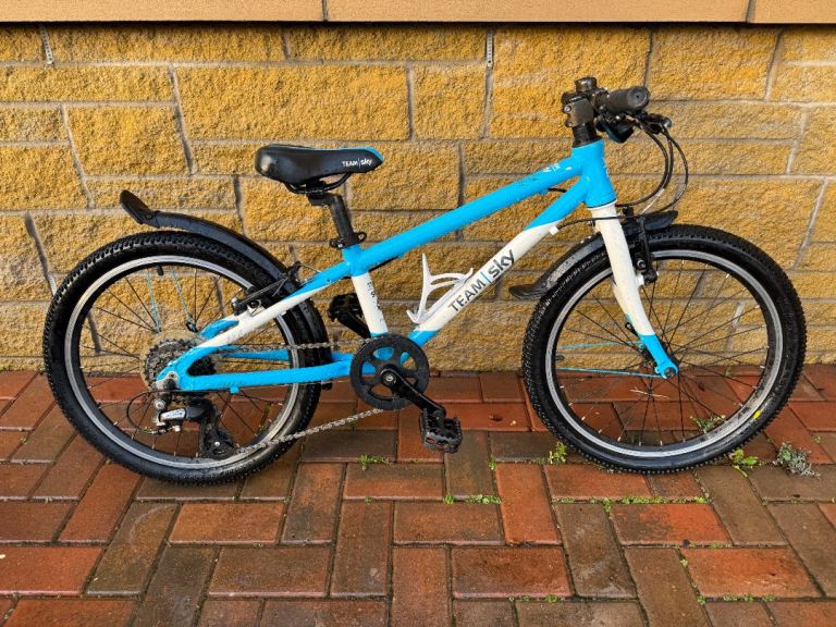 Team Sky Frog 52 Kids Bike with Spare Tyres