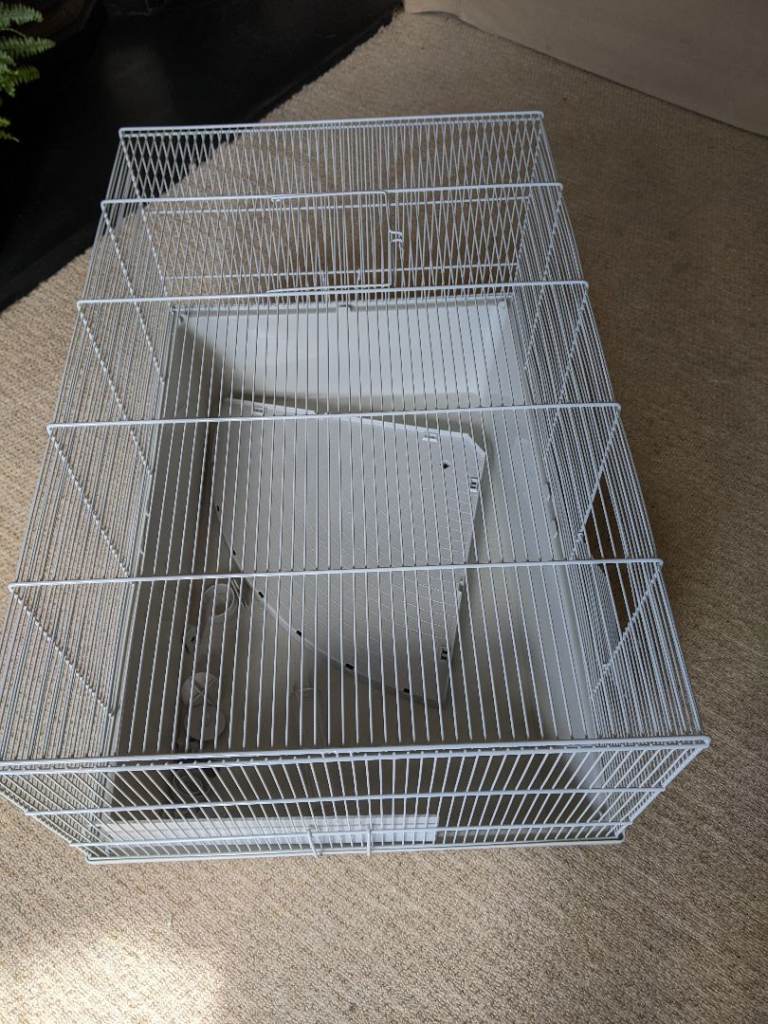 Hamster cage -starter