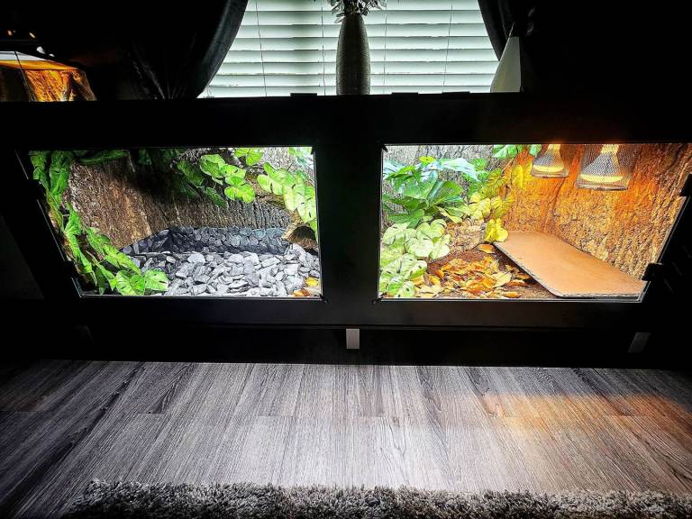 Viperia Premium Black PVC 6x2x2 Viv with full equipment