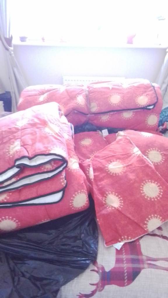 2 Thick Double Sleeping Bags and Pillows 