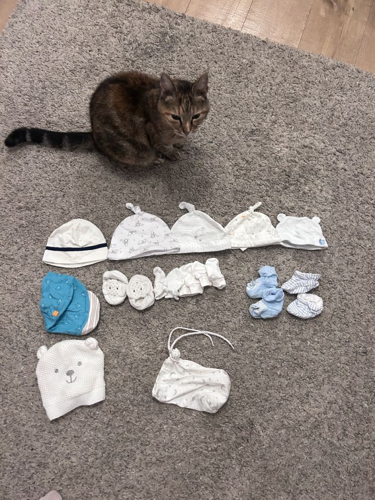 Baby hats, booties and mits, new born. Cat not included!