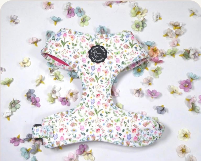 🐕 BULK DOG HARNESS & LEAD CLEARANCE — PETERBOROUGH 🐕